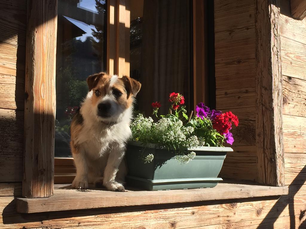 Hotel Les Cimes Megève Eksteriør billede